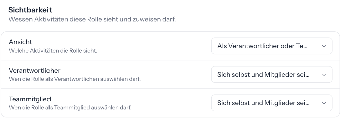 Abschnitt Sichtbarkeit einer Benutzerrolle mit den Auswahlfeldern Ansicht, Verantwortlicher und Teammitglied