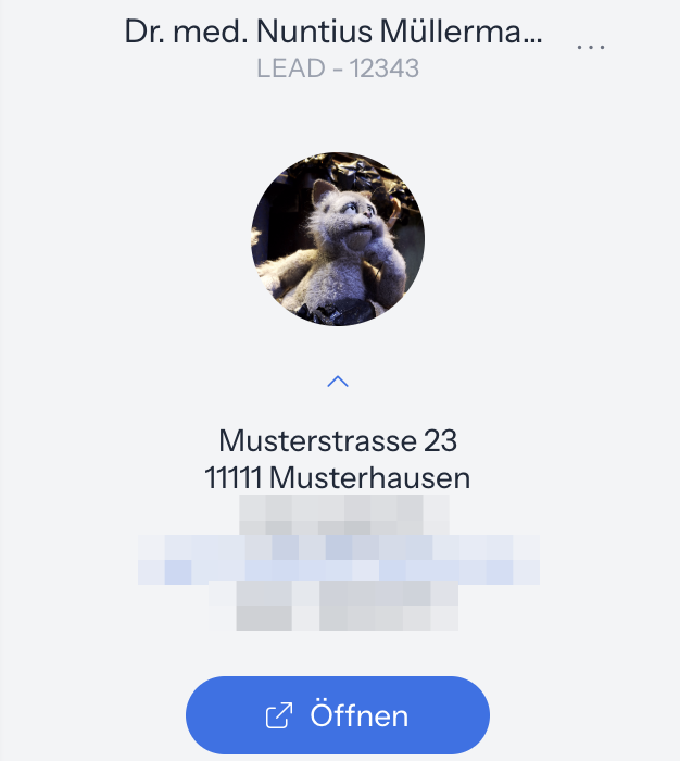 Kopf eines Kunden mit Name, Kontaktart LEAD und Nummer, Drei-Punkte-Menü, rundem Foto, Anschrift und Schaltfläche Öffnen; Telefonnummer, E-Mail-Adresse und Geburtsdatum unkenntlich