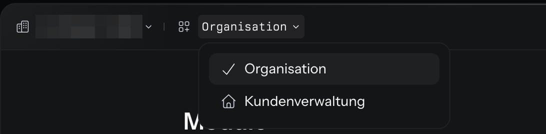 Geöffneter Modulwechsler in der Kopfzeile mit den Einträgen Organisation und Kundenverwaltung